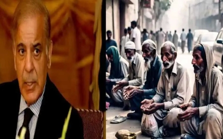 पाकिस्तान में भीख मांगना बना व्यवसाय, भिखारियों के पास हवेली, स्वीमिंग पुल और SUV, जानें कैसे चलता है ये कारोबार