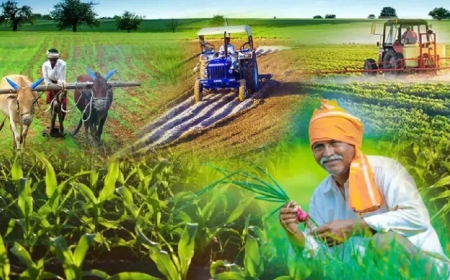 किसानों को मिलेगी अब फसलों की ज्यादा कीमत