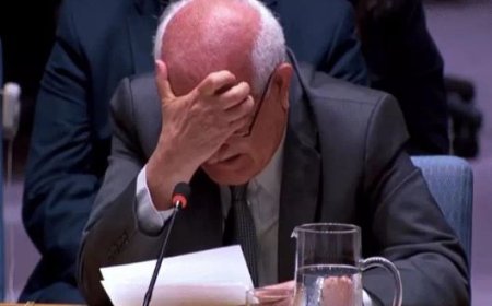 फिलिस्तीनी राजदूत UN में गाजा के हालात बताते हुए रोए