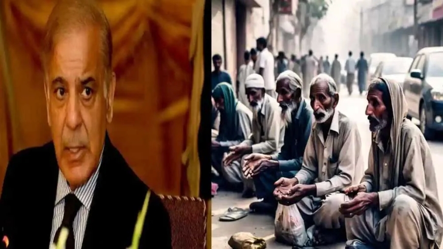 पाकिस्तान में भीख मांगना बना व्यवसाय, भिखारियों के पास हवेली, स्वीमिंग पुल और SUV, जानें कैसे चलता है ये कारोबार
