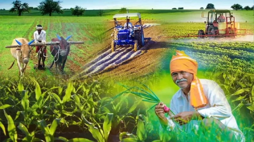 किसानों को मिलेगी अब फसलों की ज्यादा कीमत