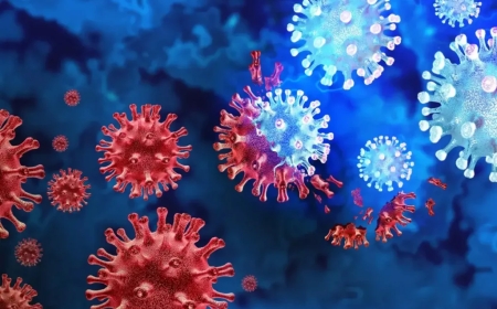 देश में कोरोना: एक्टिव केसों की संख्या 6500 पहुंच गई है, 65 मौतें