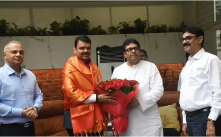 देवेंद्र फडणवीस और राज ठाकरे की मुलाकात