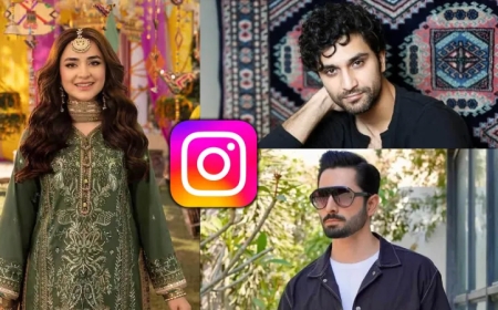 “पाकिस्तानी कलाकारों के कुछ सोशल मीडिया अकाउंट्स पर लगा प्रतिबंध हटाया गया — भारत में आंशिक रूप से अनब्लॉक”