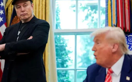 डोनाल्ड ट्रंप ने 6–7 जुलाई 2025 को एलन मस्क द्वारा "America Party" नाम से नई तृतीय राजनीतिक पार्टी शुरू करने की पेशकश पर तीखी प्रतिक्रिया दी,