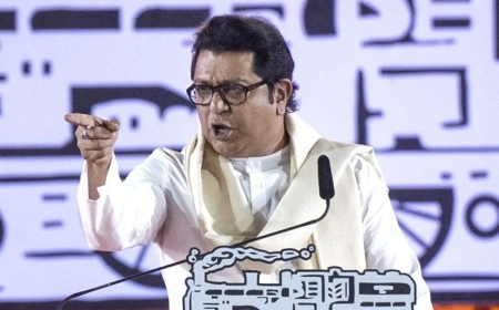 मराठी भाषा विवाद: ठाणे में MNS नेता-अभियानकर्ता हिरासत में