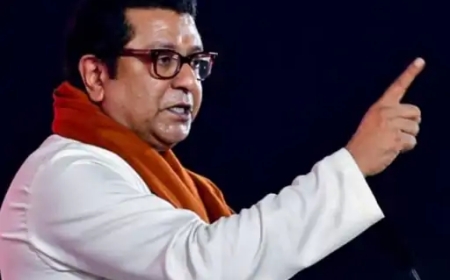 राज ठाकरे बोले – मराठी भाषा विवाद पर पार्टी सदस्य चुप्पी साधें, मीडिया या सोशल मीडिया न करें बयानी