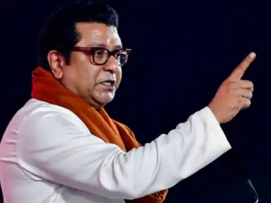 राज ठाकरे बोले – मराठी भाषा विवाद पर पार्टी सदस्य चुप्पी साधें, मीडिया या सोशल मीडिया न करें बयानी