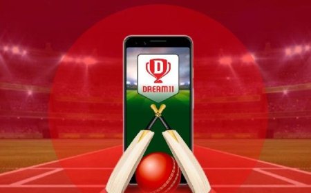 भारतीय क्रिकेट टीम की स्पॉन्सर ड्रीम-11 पर बैन लग सकता है