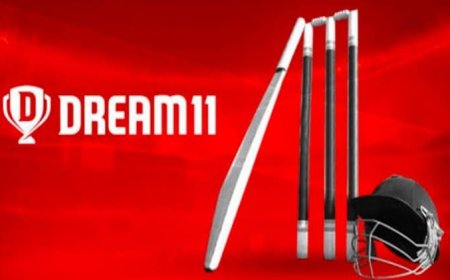 टीम इंडिया की स्पॉन्सर ड्रीम-11 रियल मनी कारोबार समेट रही