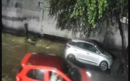 दिल्ली में नाबालिग ने कार से टक्कर के बाद शख्स को घसीटा, मची सनसनी