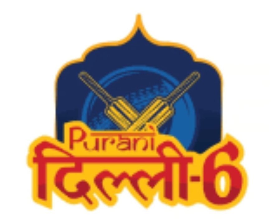 दिल्ली प्रीमियर लीग: जीत के साथ खाता खोलने को तैयार पुरानी दिल्ली 6