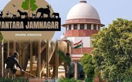 सुप्रीम कोर्ट का बड़ा फैसला: वनतारा प्रोजेक्ट को मिली क्लीनचिट