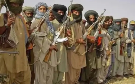 अमेरिका ने BLA पर बैन के प्रस्ताव को वीटो किया