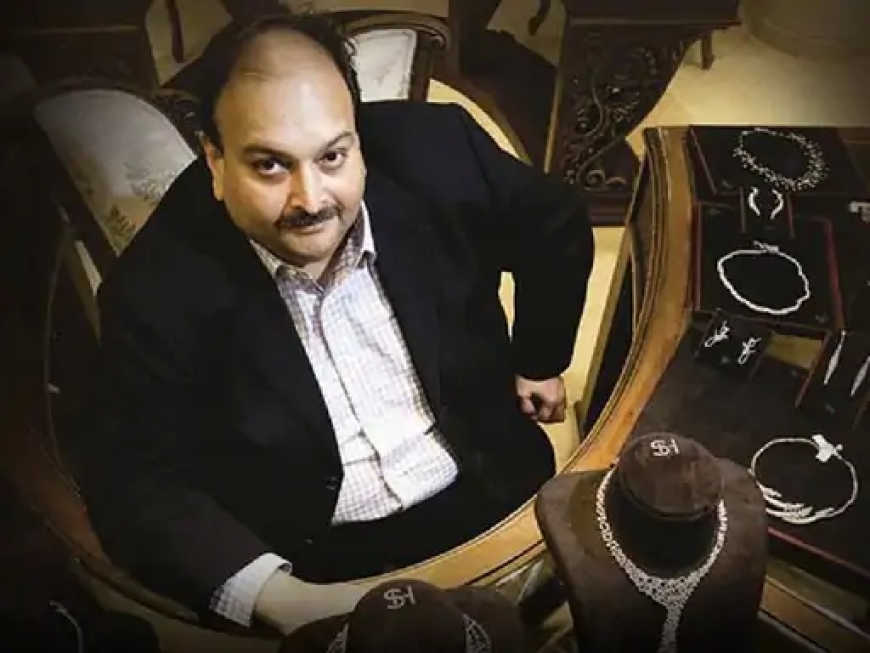 15 सितंबर से शुरू होगी चोकसी को भारत लाने की प्रक्रिया