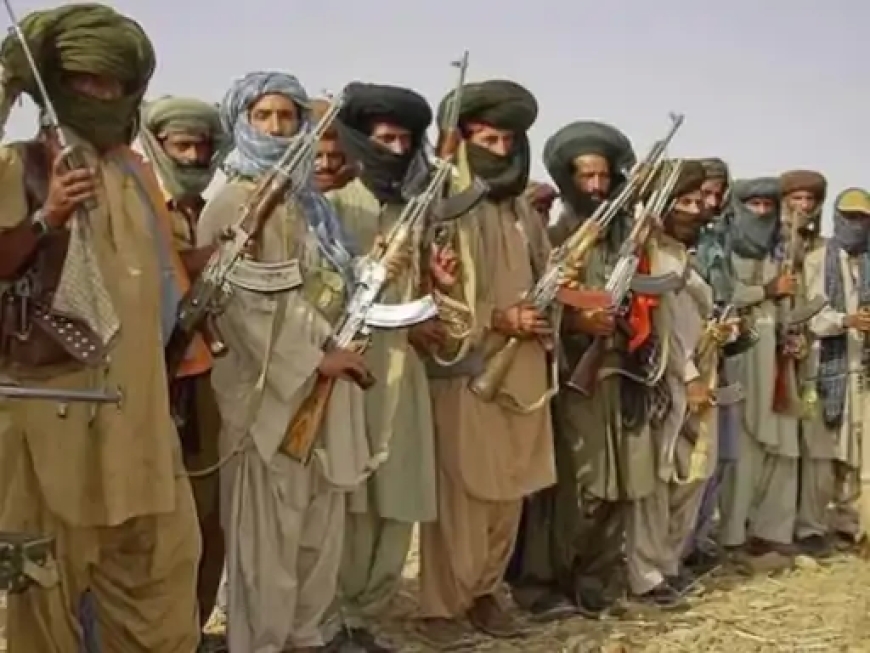 अमेरिका ने BLA पर बैन के प्रस्ताव को वीटो किया