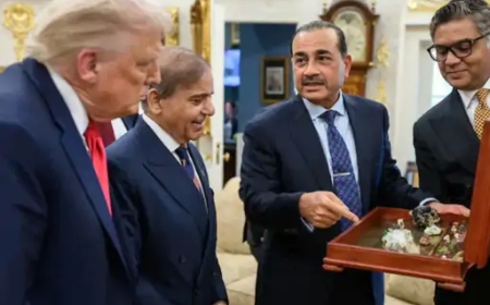 पाकिस्तान ने अमेरिका को खनिजों की पहली खेप भेजी: व्यापार और आर्थिक सहयोग में नया अध्याय