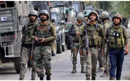 जम्मू-कश्मीर के राजौरी में सुरक्षाबलों का बड़ा सर्च ऑपरेशन – आतंकियों की तलाश में जंगल घेराबंदी