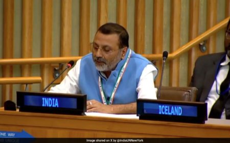 UN महासभा में बोले BJP सांसद: “पाकिस्तान को भारत को उपदेश देने का कोई अधिकार नहीं”