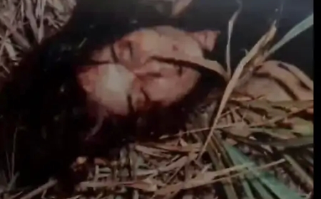 झाड़ियों में मिली थी ब्राजीलियन एक्ट्रेस डेनिएला पेरेज की लाश — ग्लैमर जगत को झकझोर देने वाला मामला