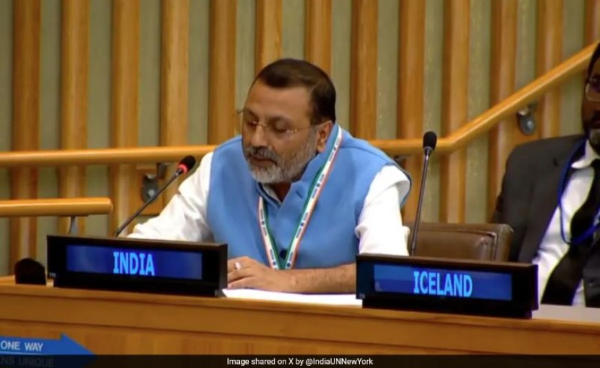 UN महासभा में बोले BJP सांसद: “पाकिस्तान को भारत को उपदेश देने का कोई अधिकार नहीं”