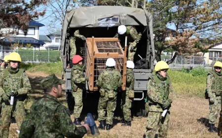 जापान में भालुओं को पकड़ने के लिए सेना तैनात – मानव-वन्य संघर्ष बढ़ा, सरकार अलर्ट मोड में