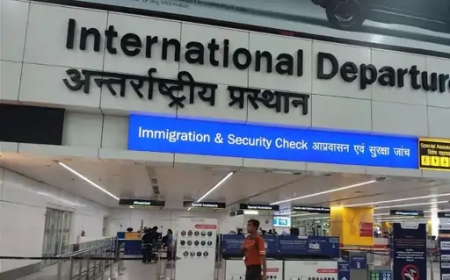 दिल्ली एयरपोर्ट पर ब्रिटिश नागरिक इमिग्रेशन एरिया से फरार CISF और इमिग्रेशन अधिकारियों में हड़कंप, खोज जारी