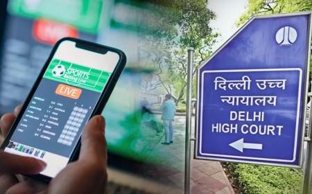 दिल्ली हाईकोर्ट का कड़ा रुख: क्रिकेट सट्टेबाजी से कमाया हर मुनाफा अपराध माना जाएगा