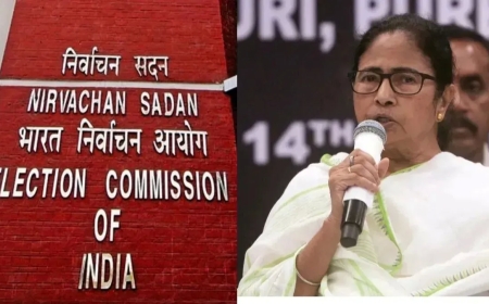 SIR मुद्दे पर चुनाव आयोग से मिले 10 टीएमसी सांसद — विशेष फोकस रिपोर्ट