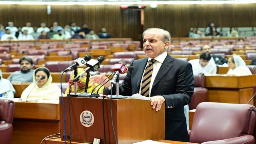 पाकिस्तान के संविधान में एकसाथ 48 अनुच्छेदों में बदलाव, विपक्ष ने बताया लोकतंत्र पर हमला