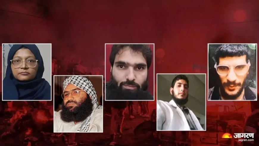 दिल्ली ब्लास्ट: आतंकी डॉक्टर्स की अलग-अलग हैंडलर को रिपोर्टिंग, जांच में बड़ा खुलासा