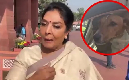 संसद परिसर में कुत्ता लेकर पहुंचीं कांग्रेस सांसद रेणुका चौधरी — पहले दिन से ही राजनीतिक हलचल तेज