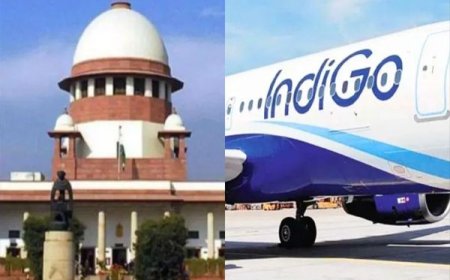दिल्ली हाई कोर्ट  ने IndiGo संकट पर केंद्र सरकार से कसा तंज — पूछा, «इंडिगो फेल हुई, सरकार ने क्या किया?»