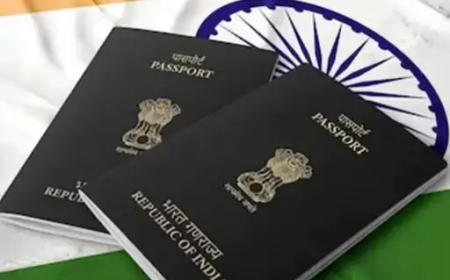 हर साल लगभग 2 लाख लोग भारतीय नागरिकता छोड़ रहे, प्रवासन के बढ़ते रुझान पर चिंता