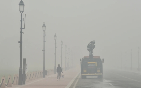 दिल्ली में बढ़ता प्रदूषण बना गंभीर संकट, 50% कर्मचारियों के लिए वर्क फ्रॉम होम अनिवार्य