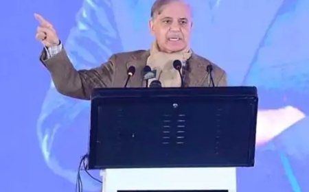 बयान से बढ़ा सियासी ताप: शहबाज शरीफ बोले—दिल्ली से मुंबई तक भारत हार नहीं भूलेगा