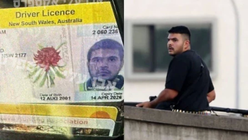 दावा—ऑस्ट्रेलिया के बॉन्डी बीच हमले में पाकिस्तानी नहीं, भारतीय नागरिक शामिल; जांच के बीच पहचान को लेकर बहस