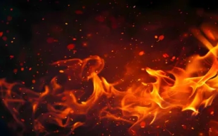 पश्चिम बंगाल में दो गोदामों में भीषण आग—8 लोगों की मौत, कई अभी भी लापता और राहत-बचाव जारी