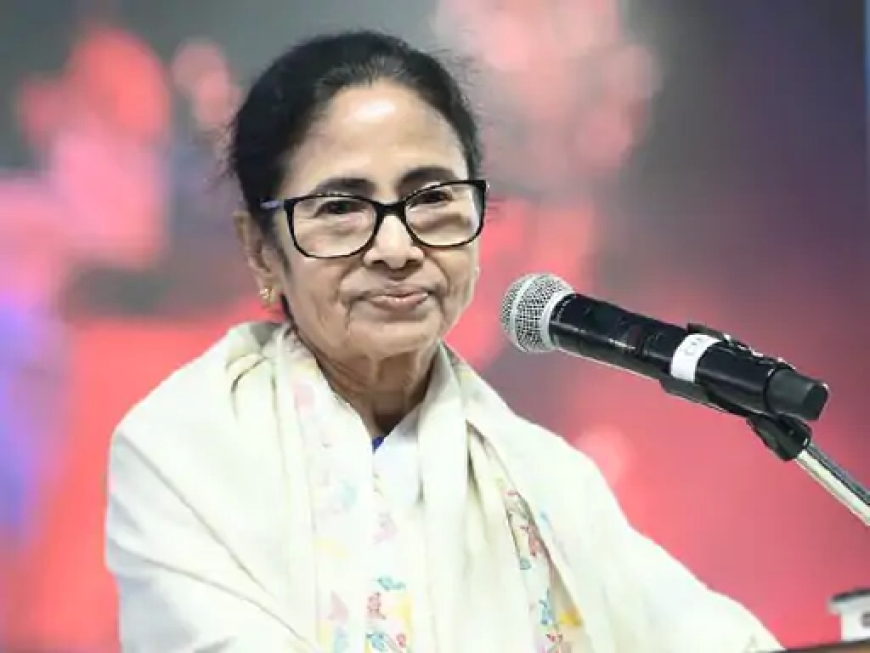 SIR के दौरान मौतों के मामले में कोर्ट जाएंगी ममता बनर्जी, केंद्र और एजेंसियों पर उठे सवाल