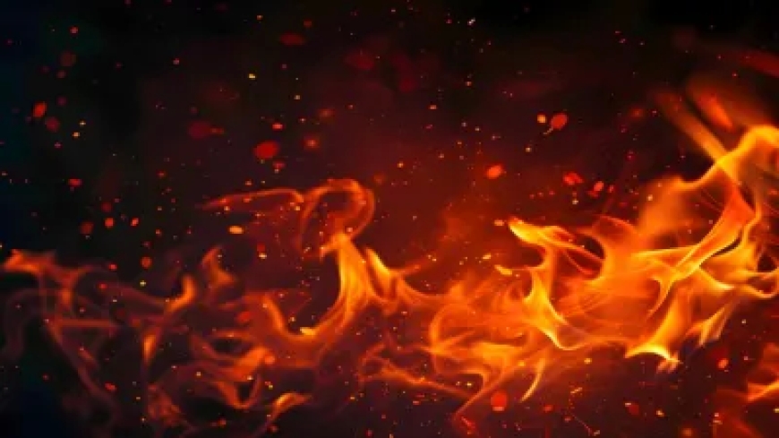 पश्चिम बंगाल में दो गोदामों में भीषण आग—8 लोगों की मौत, कई अभी भी लापता और राहत-बचाव जारी