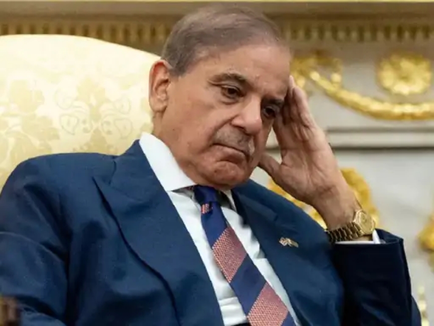 पाकिस्तानी पीएम शहबाज़ शरीफ का बयान — “दुनिया से कर्ज मांगने में अब शर्म महसूस होती है”