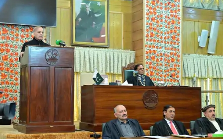 पाकिस्तानी PM का बयान: ‘कश्मीर पाकिस्तान का हिस्सा बनेगा’