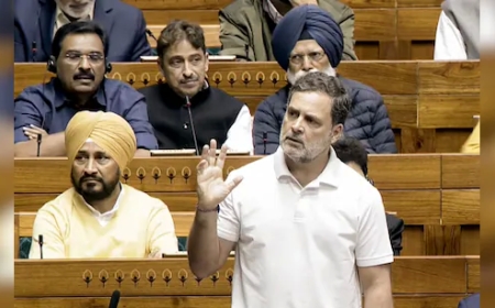 राहुल के खिलाफ विशेषाधिकार हनन प्रस्ताव नहीं लाया जाएगा, सियासी अटकलों पर विराम