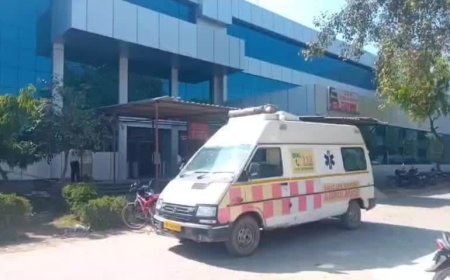 हरियाणा के पलवल जिले के छांयासा गांव में पीलिया से 7 मौतें, स्वास्थ्य विभाग अलर्ट