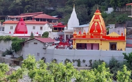 नीम करोली मंदिर के चढ़ावे का रिकॉर्ड कहां है? हाईकोर्ट ने सरकार से मांगी विस्तृत रिपोर्ट