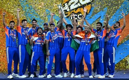 भारत तीसरी बार बना टी-20 वर्ल्ड चैंपियन: न्यूजीलैंड को हराकर रचा नया इतिहास
