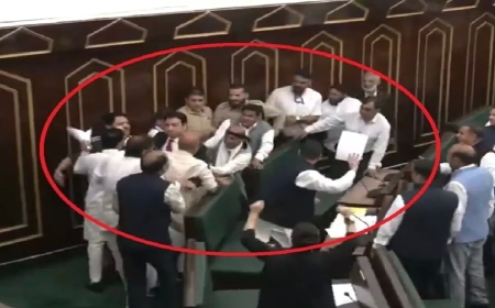 जम्मू-कश्मीर विधानसभा में हंगामा—भाजपा और कांग्रेस विधायकों के बीच हाथापाई,