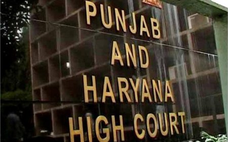 हरियाणा में साढ़े 10 हजार कर्मचारियों की नौकरी सुरक्षित, हाई कोर्ट के फैसले से बड़ी राहत