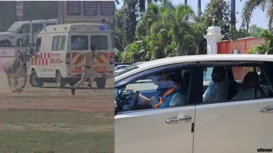 नीतीश कुमार की सुरक्षा में बड़ी चूक, बेगूसराय हेलीपैड पर घुसा बैल; मची अफरा-तफरी
