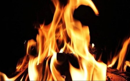 प्रशासनिक दफ्तर के बाहर हंगामा: एसडीएम कार्यालय के सामने किसान का आत्मदाह प्रयास, इलाके में मचा हड़कंप